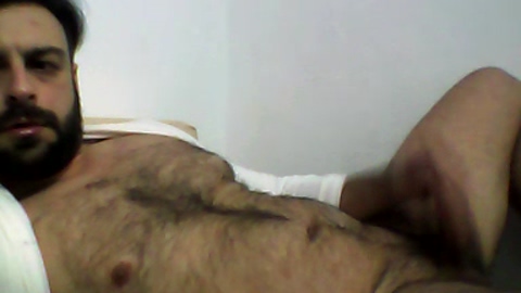 gatobarbudo87  12-07-2022